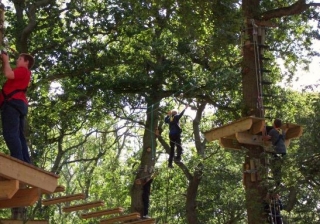  En los árboles del parque